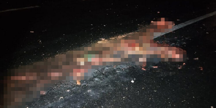 Más de 10 camiones le pasaron encima