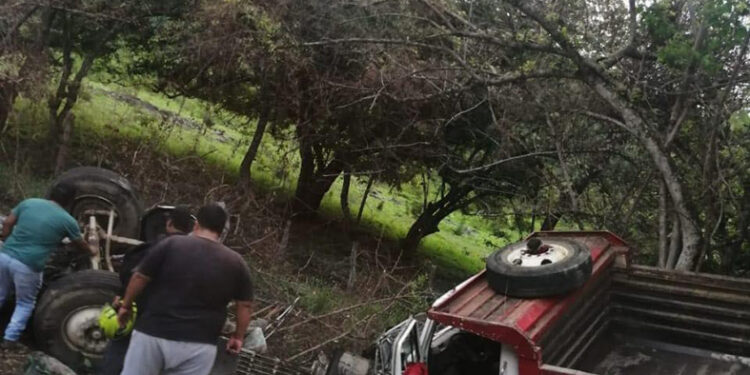 Fallecen dos maestros coitecos