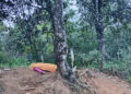 Se colgó de un árbol