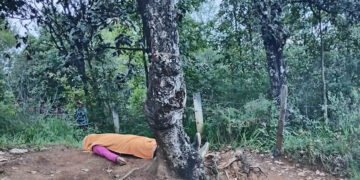 Se colgó de un árbol