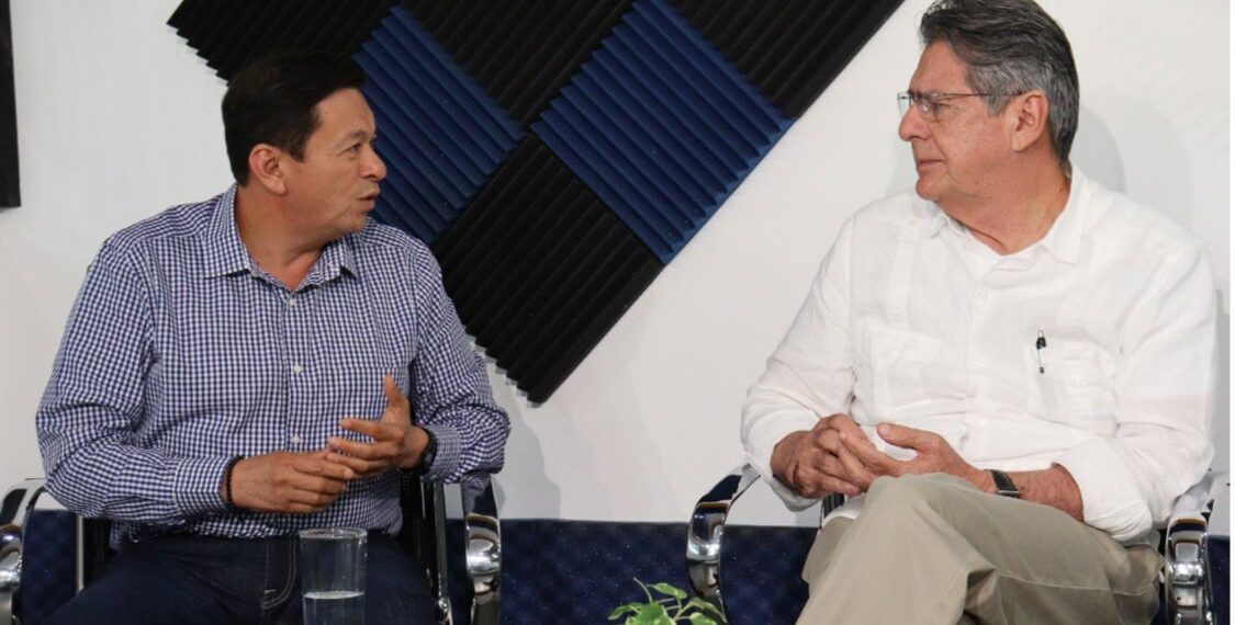 Participación política dentro del marco legal