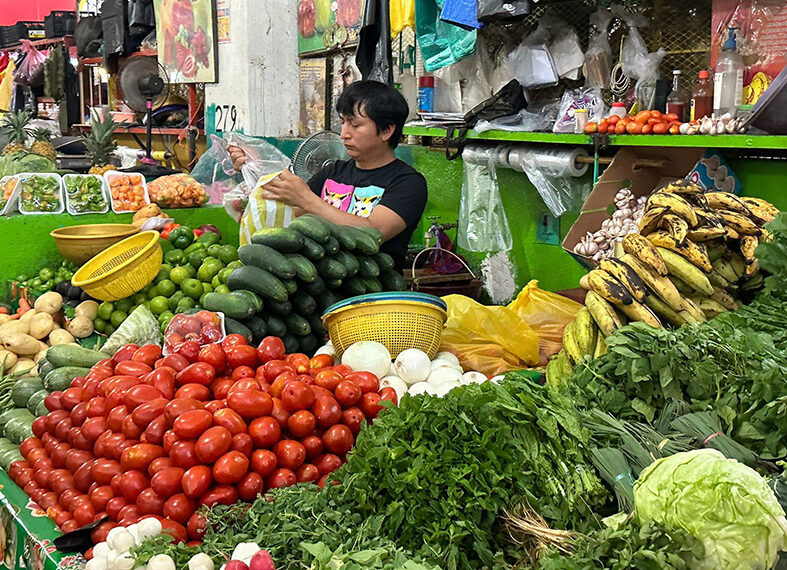 Mercados tuxtlecos referentes culturales