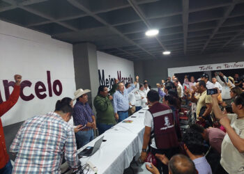 Nuestra estrategia nos ha dado resultados: Pío López Obrador