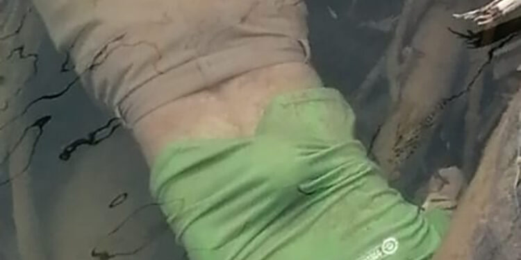 Localizan cuerpo sin vida