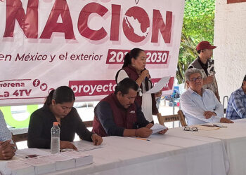 Participa en consulta