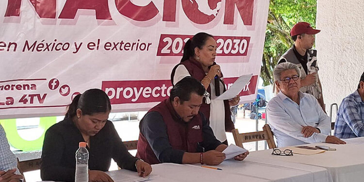 Participa en consulta