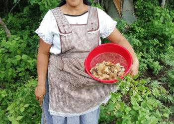 Delicia culinaria en Chiapas