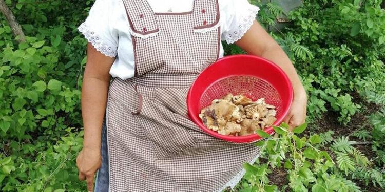 Delicia culinaria en Chiapas