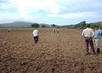 Apoyo al campo a cuenta gotas