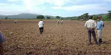 Apoyo al campo a cuenta gotas