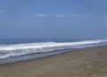 Dos playas no son aptas para nadar:COFEPRIS