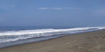 Dos playas no son aptas para nadar:COFEPRIS