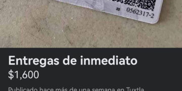 Alertan sobre licencias falsas