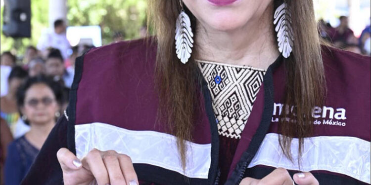 La consulta es un ejercicio democrático