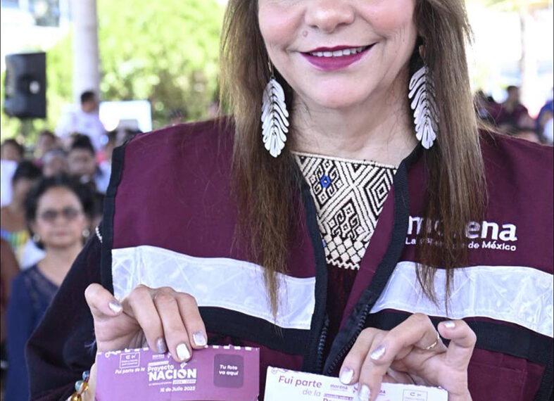 La consulta es un ejercicio democrático