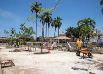 Inicia arborización del parque central