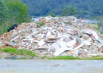 Persiste destrucción de humedales coletos