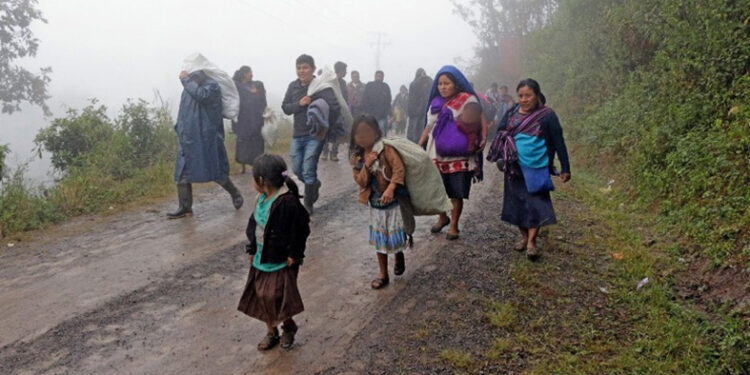 Regresan a sus hogares