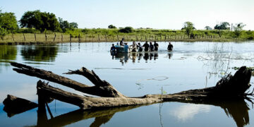 Logran importante registro de flora y fauna