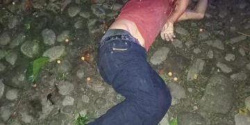 Anciano pierde la vida arrollado