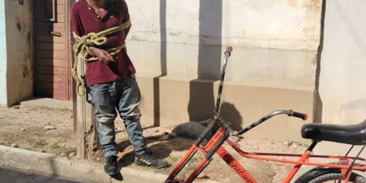 Lo dejaron amarrado como iguana