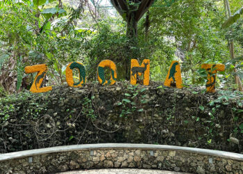 Encuentro de la naturaleza y tecnología