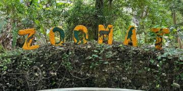 Encuentro de la naturaleza y tecnología