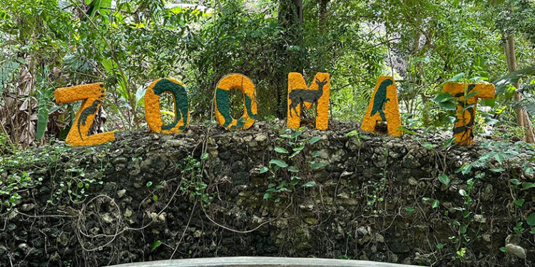 Encuentro de la naturaleza y tecnología