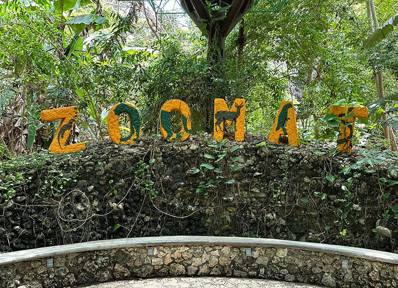 Encuentro de la naturaleza y tecnología