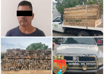 Quería hacer su cabañita