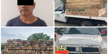 Quería hacer su cabañita