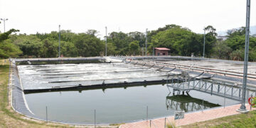 Suministro necesario