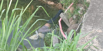 Lo arrojaron al río