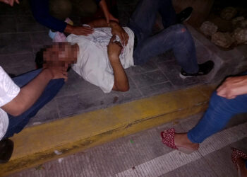 Perro accidente