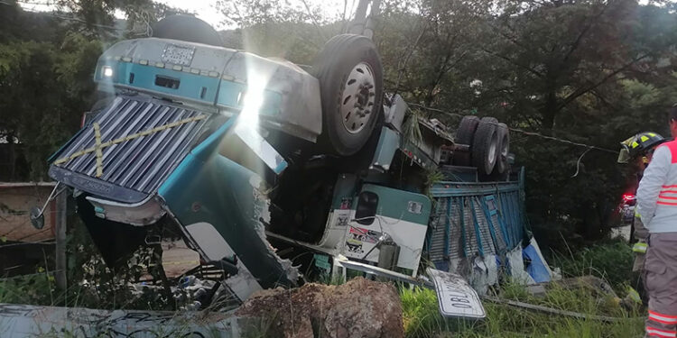 Se metió hasta el patio