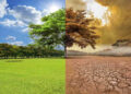 ECOLOGÍA HUMANA