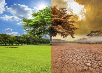 ECOLOGÍA HUMANA