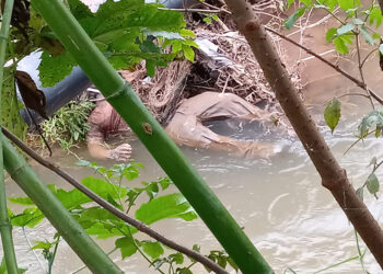 Localizan cadáver en un río