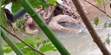 Localizan cadáver en un río