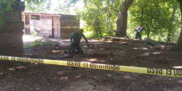 Se colgó de un árbol