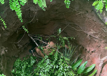 Lo tiraron a un pozo