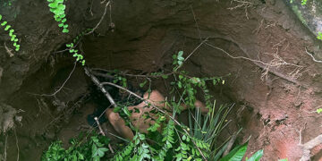 Lo tiraron a un pozo