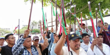 Piden la no injerencia de partidos políticos