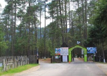 Denuncian mal servicio y precios altos