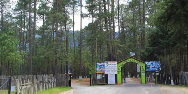 Denuncian mal servicio y precios altos