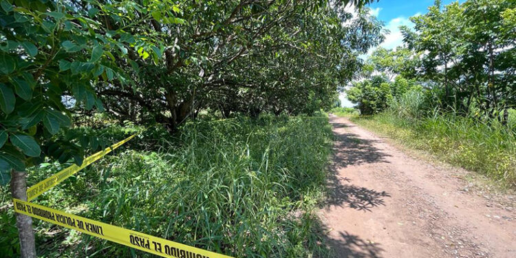 Le dieron dos plomazos