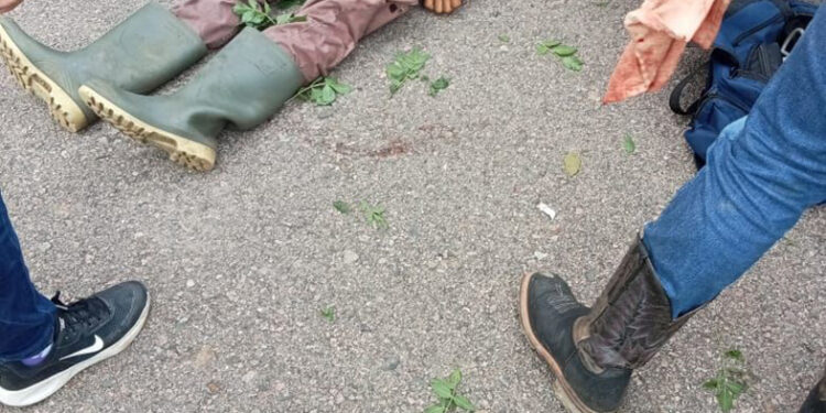 Se lo llevó de corbata