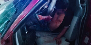 Se estampó en un árbol