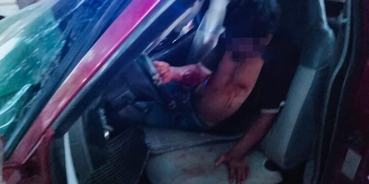 Se estampó en un árbol