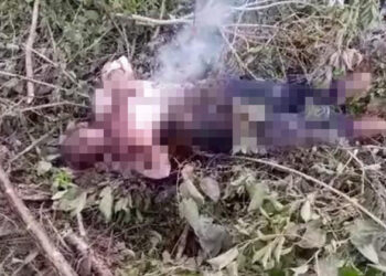 Un hombre pierde la vida electrocutado
